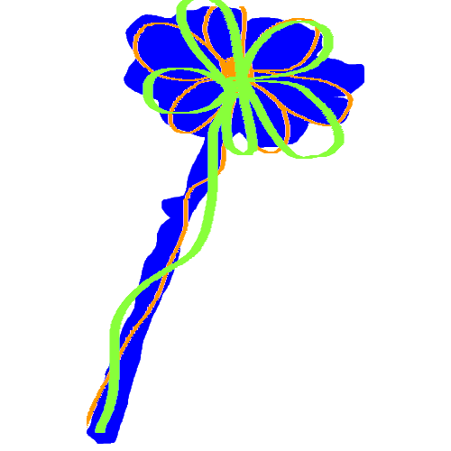 flower3